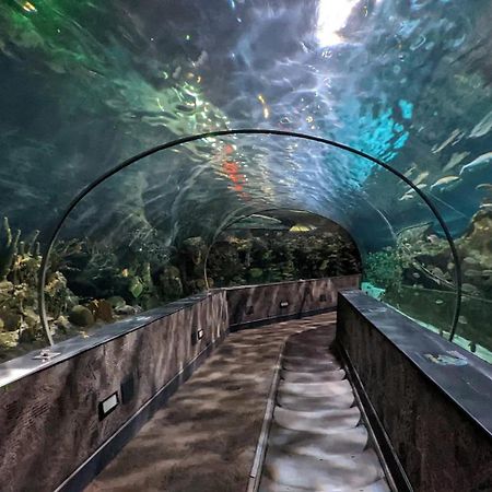 Вилла Movie Theater Hot Tub View Mountain Escape Гатлинбург Экстерьер фото